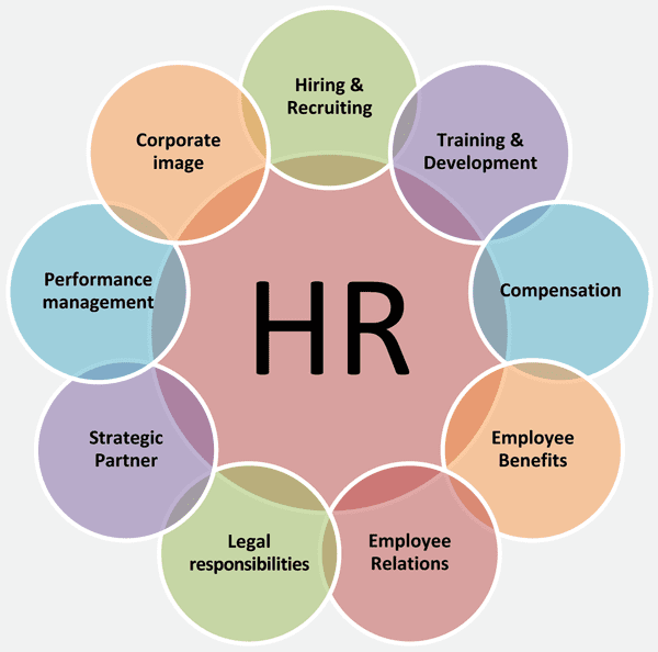 Key Considerations Before Outsourcing Your Business HR Functions